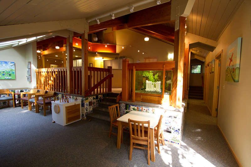 Pediatric Dentistry Bremerton WA